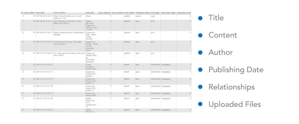 Wordpress database field